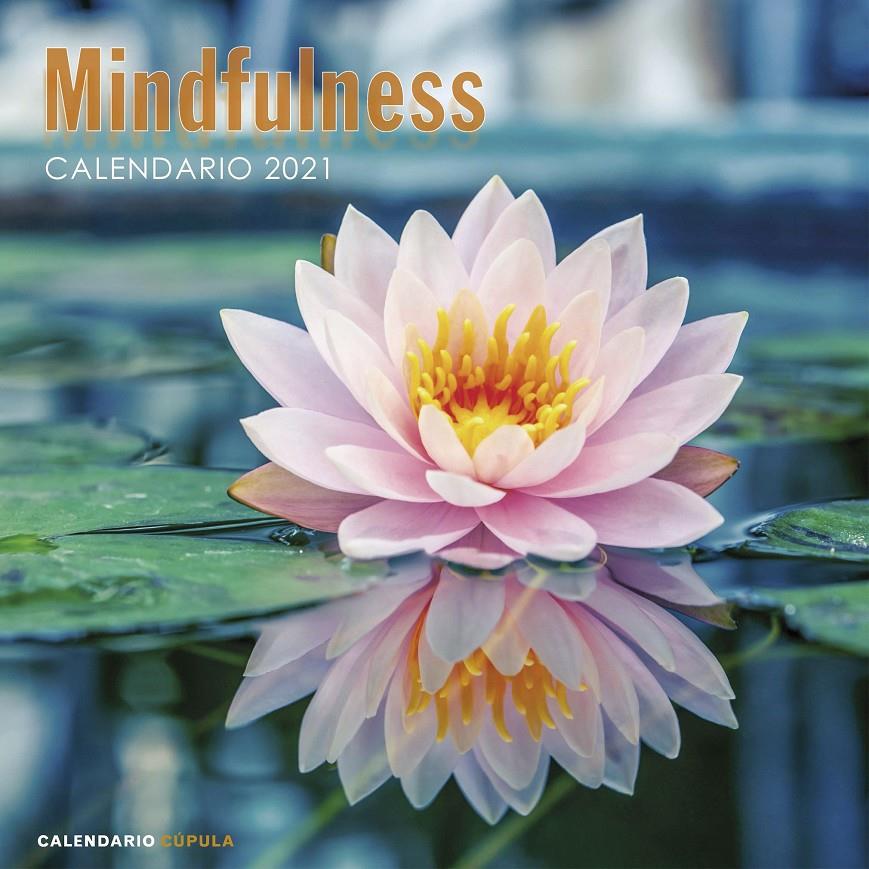 CALENDARIO MINDFULNESS 2021 | 9788448027735 | AA. VV. | Llibreria La Font de Mimir - Llibreria online Barcelona - Comprar llibres català i castellà