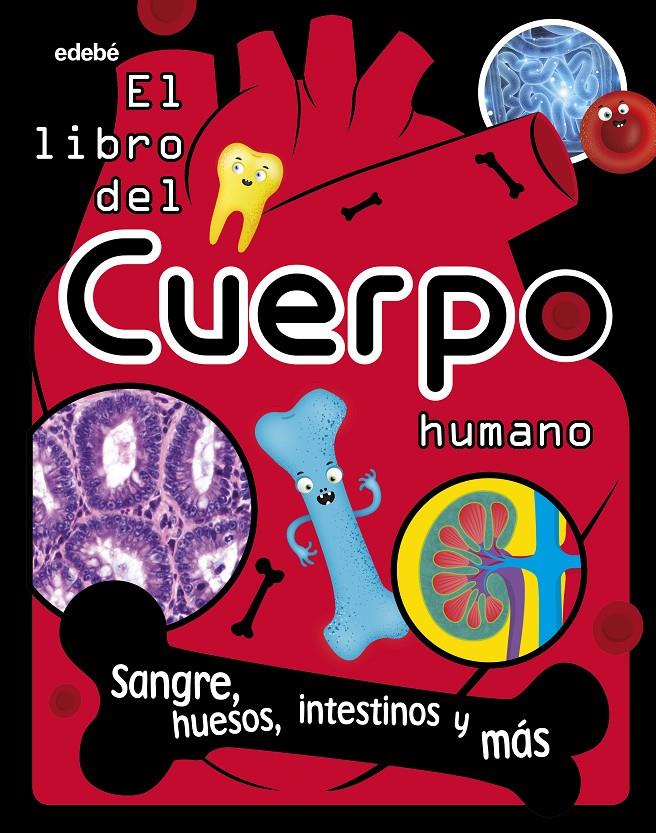 EL LIBRO DEL CUERPO HUMANO | 9788468362748 | VARIOS AUTORES | Llibreria La Font de Mimir - Llibreria online Barcelona - Comprar llibres català i castellà