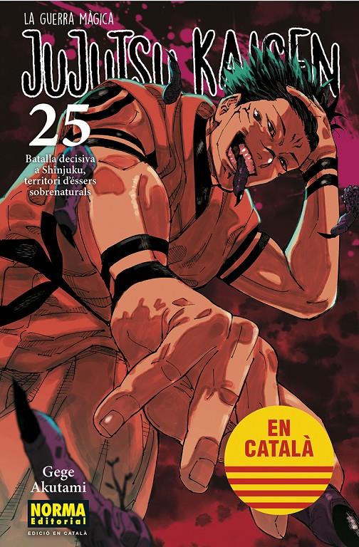 JUJUTSU KAISEN 25 CATALA | 9788467969979 | AKUTAMI, GEGE | Llibreria La Font de Mimir - Llibreria online Barcelona - Comprar llibres català i castellà