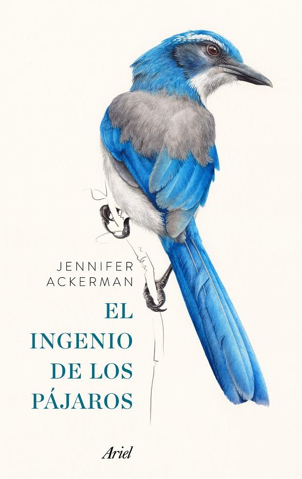 EL INGENIO DE LOS PÁJAROS | 9788434425262 | JENNIFER ACKERMAN | Llibreria La Font de Mimir - Llibreria online Barcelona - Comprar llibres català i castellà