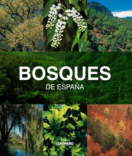 BOSQUES DE ESPAÑA. LUNWERG MEDIUM | 9788497857482 | JOAQUÍN ARAÚJO | Llibreria La Font de Mimir - Llibreria online Barcelona - Comprar llibres català i castellà