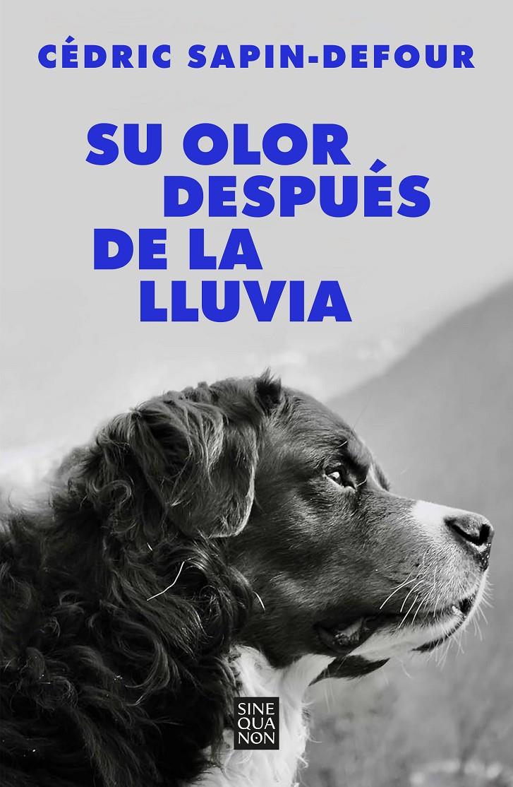 SU OLOR DESPUÉS DE LA LLUVIA | 9788466678766 | SAPIN-DEFOUR, CÉDRIC | Llibreria La Font de Mimir - Llibreria online Barcelona - Comprar llibres català i castellà