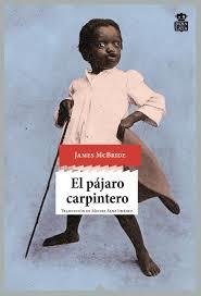 EL PÁJARO CARPINTERO | 9788416537198 | MCBRIDE, JAMES | Llibreria La Font de Mimir - Llibreria online Barcelona - Comprar llibres català i castellà