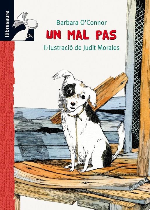 UN MAL PAS | 9788479428228 | O'CONNOR, BARBARA | Llibreria La Font de Mimir - Llibreria online Barcelona - Comprar llibres català i castellà