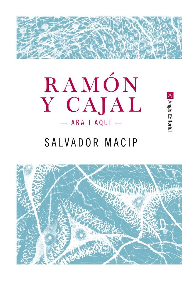 RAMÓN Y CAJAL. ARA I AQUÍ | 9788415307242 | MACIP MARESMA, SALVADOR | Llibreria La Font de Mimir - Llibreria online Barcelona - Comprar llibres català i castellà