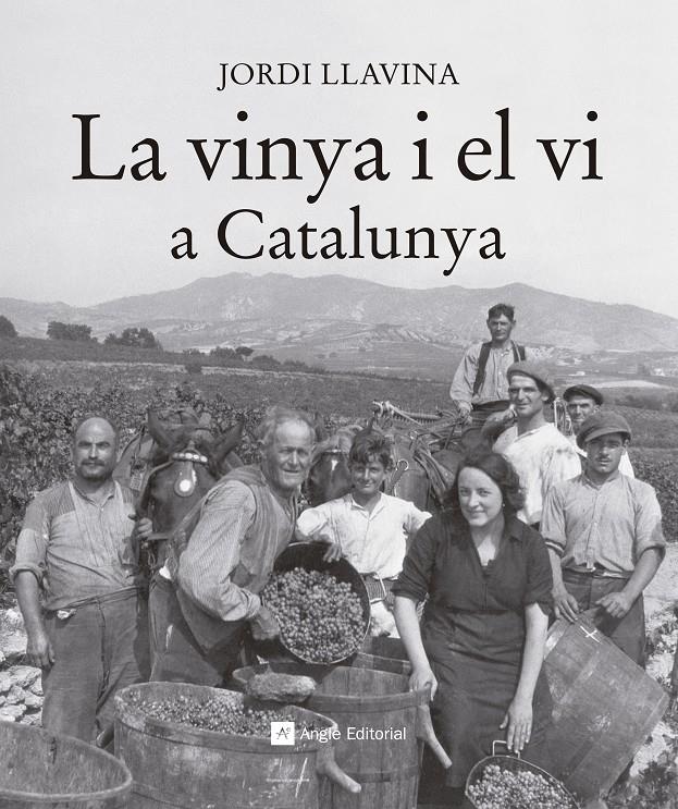 LA VINYA I EL VI A CATALUNYA | 9788416139187 | LLAVINA, JORDI | Llibreria La Font de Mimir - Llibreria online Barcelona - Comprar llibres català i castellà