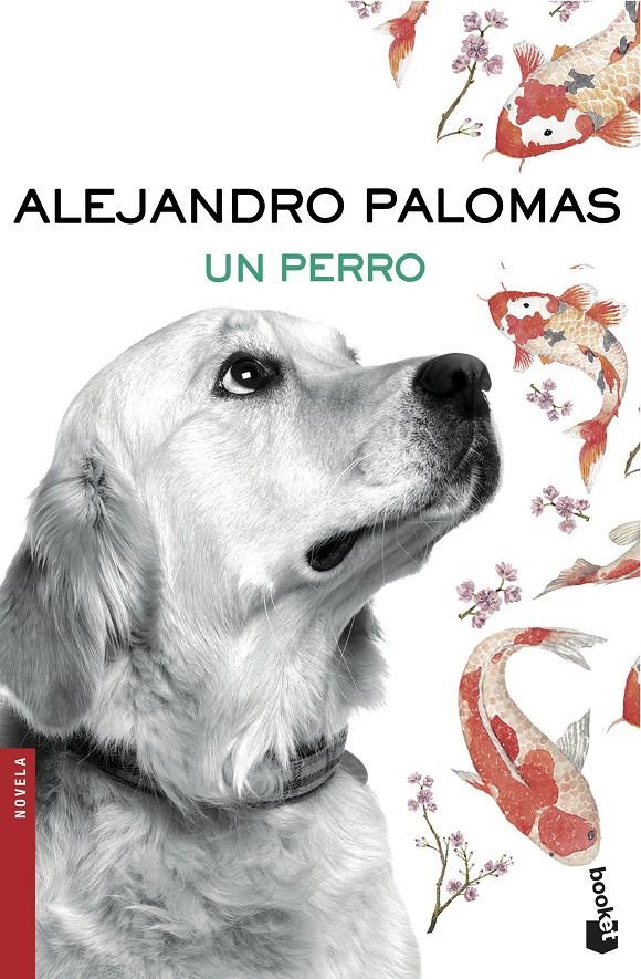 UN PERRO | 9788423351862 | ALEJANDRO PALOMAS | Llibreria La Font de Mimir - Llibreria online Barcelona - Comprar llibres català i castellà