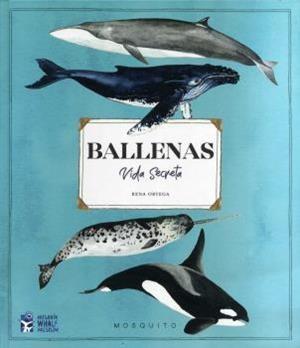 BALENES. VIDA SECRETA | 9788412247954 | Llibreria La Font de Mimir - Llibreria online Barcelona - Comprar llibres català i castellà