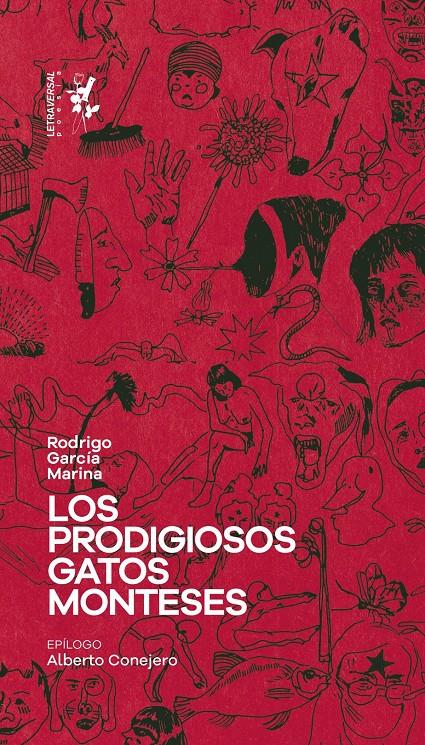 LOS PRODIGIOSOS GATOS MONTESES | 9788412640076 | GARCÍA MARINA, RODRIGO | Llibreria La Font de Mimir - Llibreria online Barcelona - Comprar llibres català i castellà