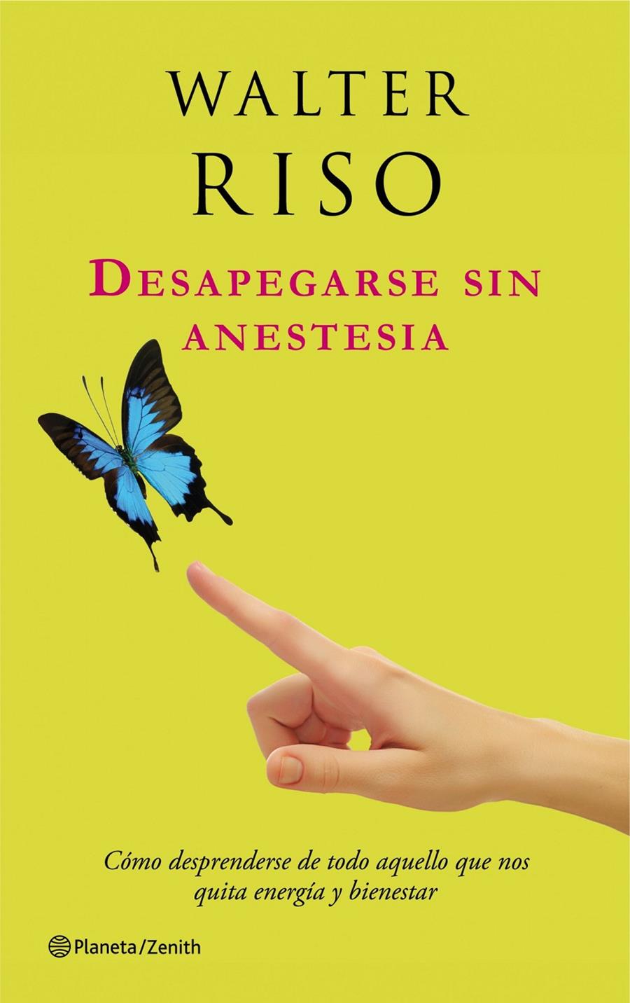 DESAPEGARSE SIN ANESTESIA | 9788408037583 | RISO WALTER | Llibreria La Font de Mimir - Llibreria online Barcelona - Comprar llibres català i castellà