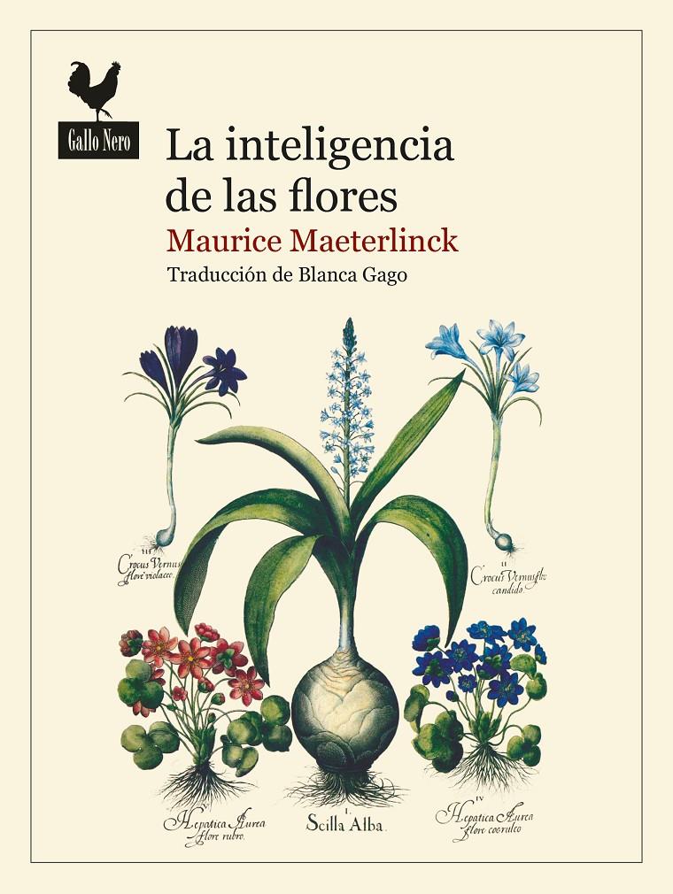 LA INTELIGENCIA DE LAS FLORES | 9788419168016 | MAETERLINCK, MAURICE | Llibreria La Font de Mimir - Llibreria online Barcelona - Comprar llibres català i castellà