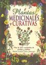 PLANTAS MEDICINALES Y CURATIVAS | 9788415401704 | AA.VV | Llibreria La Font de Mimir - Llibreria online Barcelona - Comprar llibres català i castellà