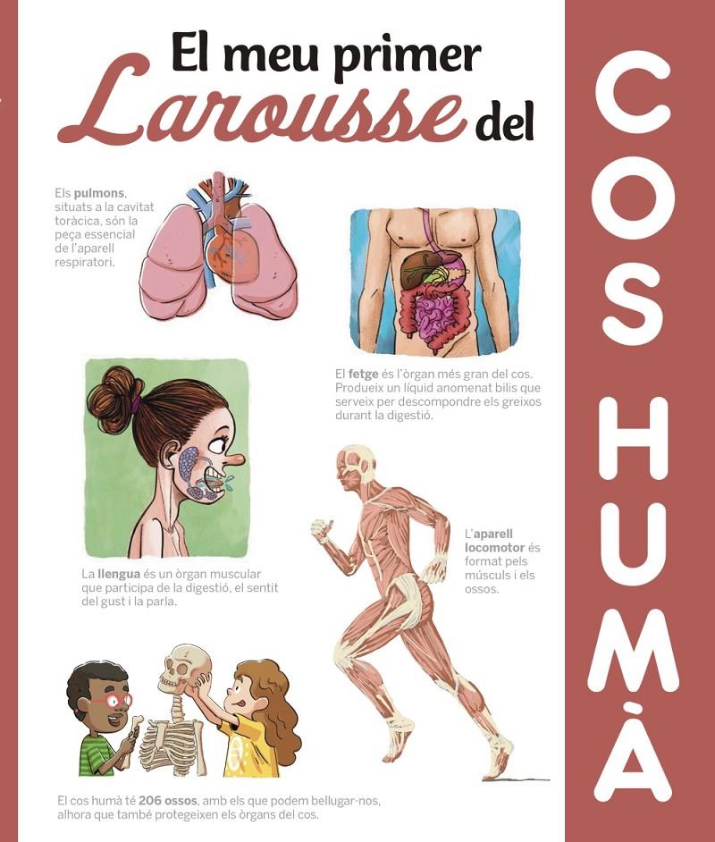 EL MEU PRIMER LAROUSSE DEL COS HUMÀ | 9788417273606 | LAROUSSE EDITORIAL | Llibreria La Font de Mimir - Llibreria online Barcelona - Comprar llibres català i castellà