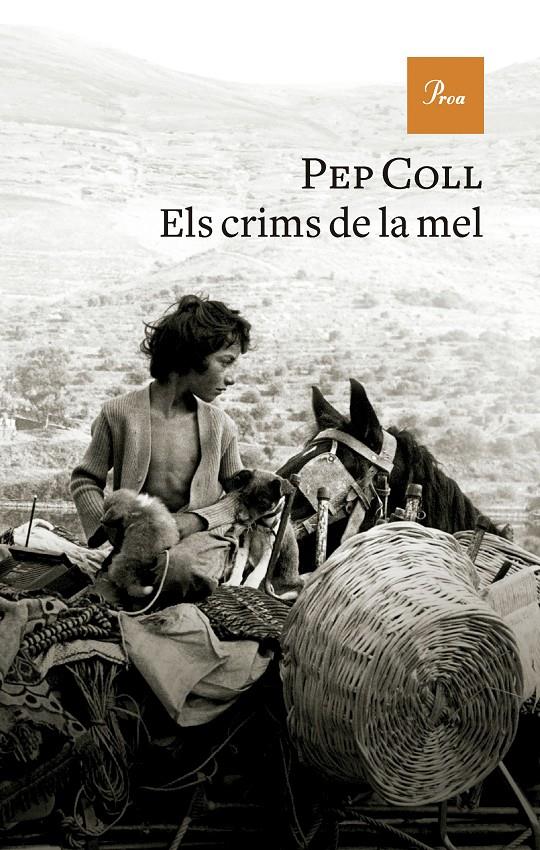 ELS CRIMS DE LA MEL | 9788419657930 | COLL, PEP | Llibreria La Font de Mimir - Llibreria online Barcelona - Comprar llibres català i castellà