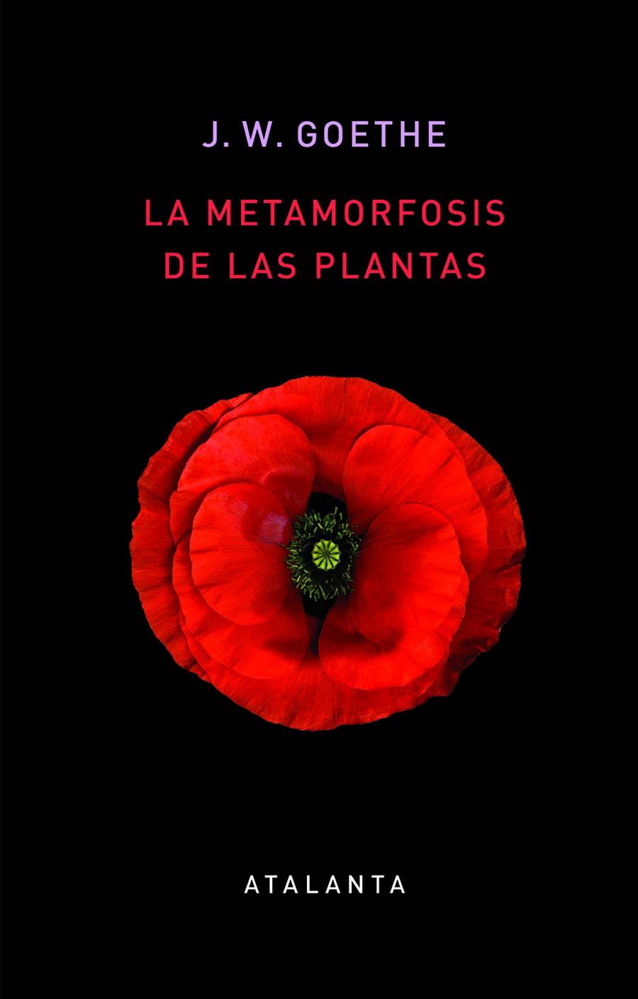 LA METAMORFOSIS DE LAS PLANTAS | 9788412074345 | GOETHE, JOHANN WOLFGANG | Llibreria La Font de Mimir - Llibreria online Barcelona - Comprar llibres català i castellà