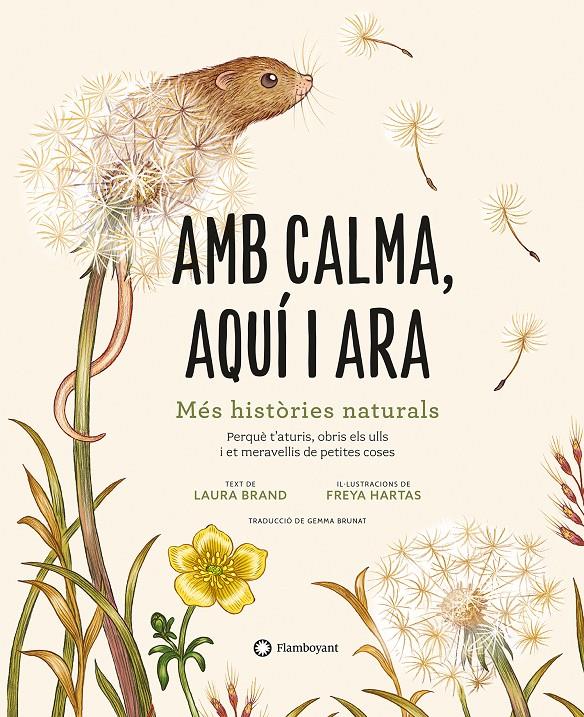 AMB CALMA, AQUÍ I ARA | 9788419401120 | BRAND, LAURA | Llibreria La Font de Mimir - Llibreria online Barcelona - Comprar llibres català i castellà