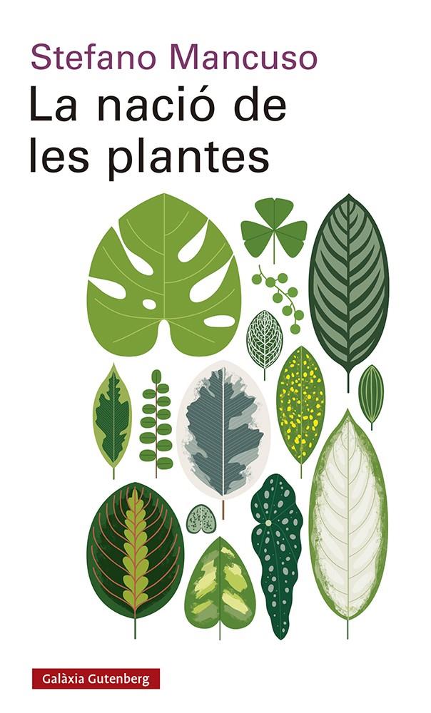 LA NACIÓ DE LES PLANTES | 9788417971564 | MANCUSO, STEFANO | Llibreria La Font de Mimir - Llibreria online Barcelona - Comprar llibres català i castellà