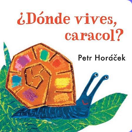 ¿DÓNDE VIVES, CARACOL? | 9788426140777 | HORÁCEK, PETR | Llibreria La Font de Mimir - Llibreria online Barcelona - Comprar llibres català i castellà