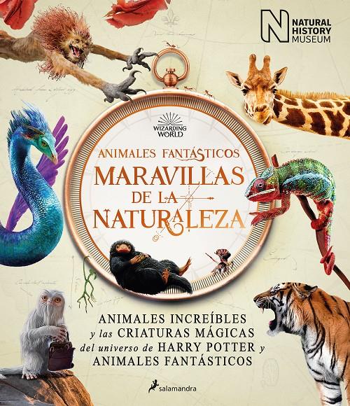 ANIMALES FANTÁSTICOS: MARAVILLAS DE LA NATURALEZA | 9788418637056 | THE NATIONAL HISTORY MUSEUM, | Llibreria La Font de Mimir - Llibreria online Barcelona - Comprar llibres català i castellà