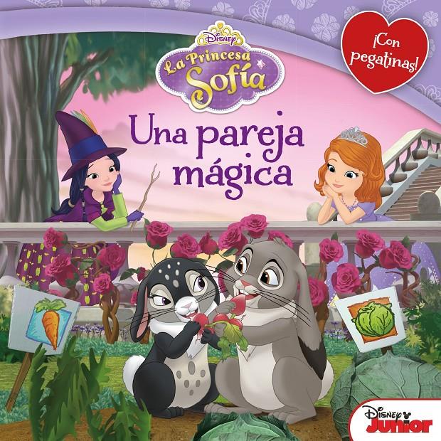 LA PRINCESA SOFÍA. UNA PAREJA MÁGICA | 9788499516561 | DISNEY | Llibreria La Font de Mimir - Llibreria online Barcelona - Comprar llibres català i castellà