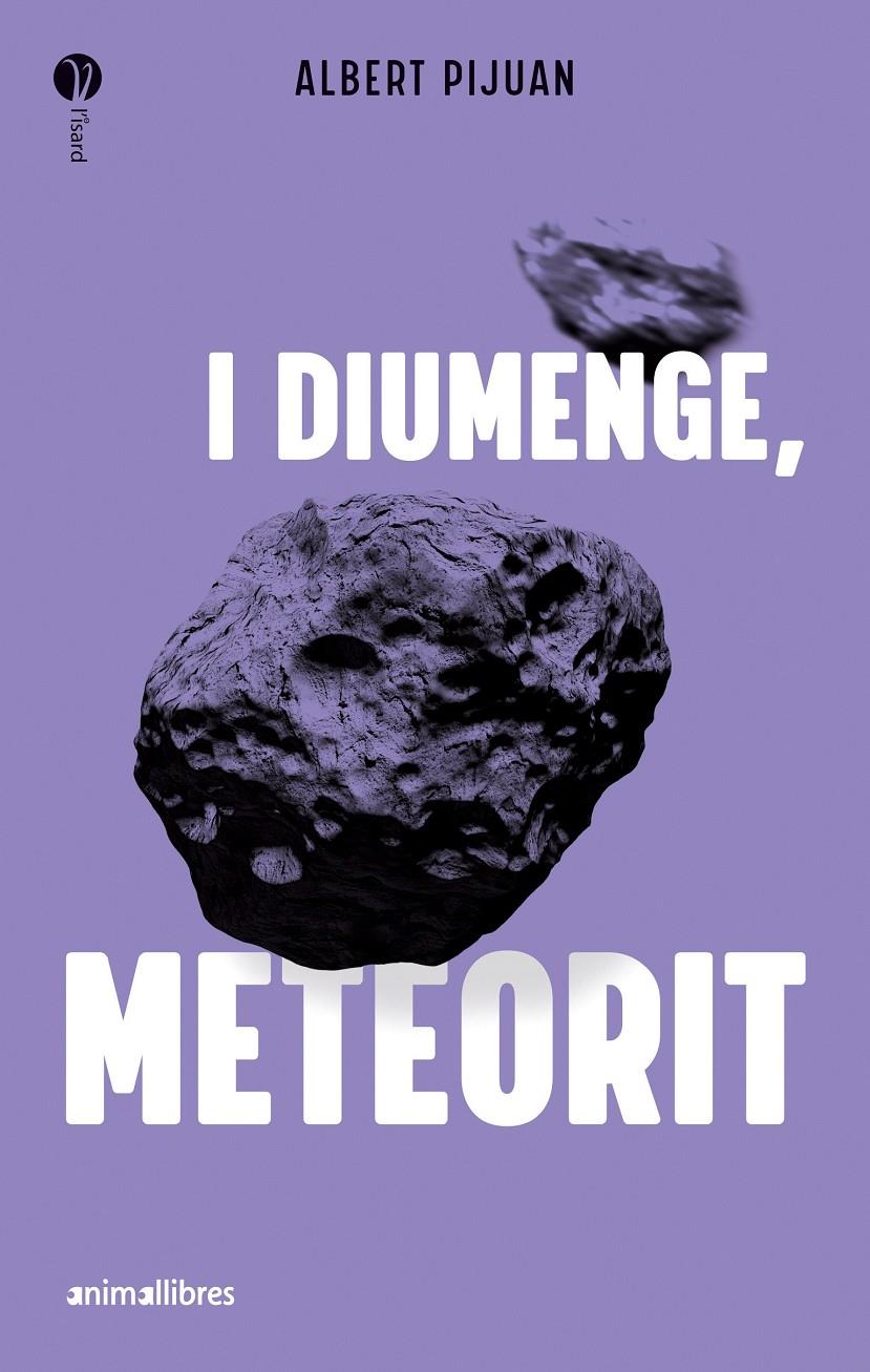 I DIUMENGE, METEORIT | 9788419659415 | ALBERT PIJUAN | Llibreria La Font de Mimir - Llibreria online Barcelona - Comprar llibres català i castellà