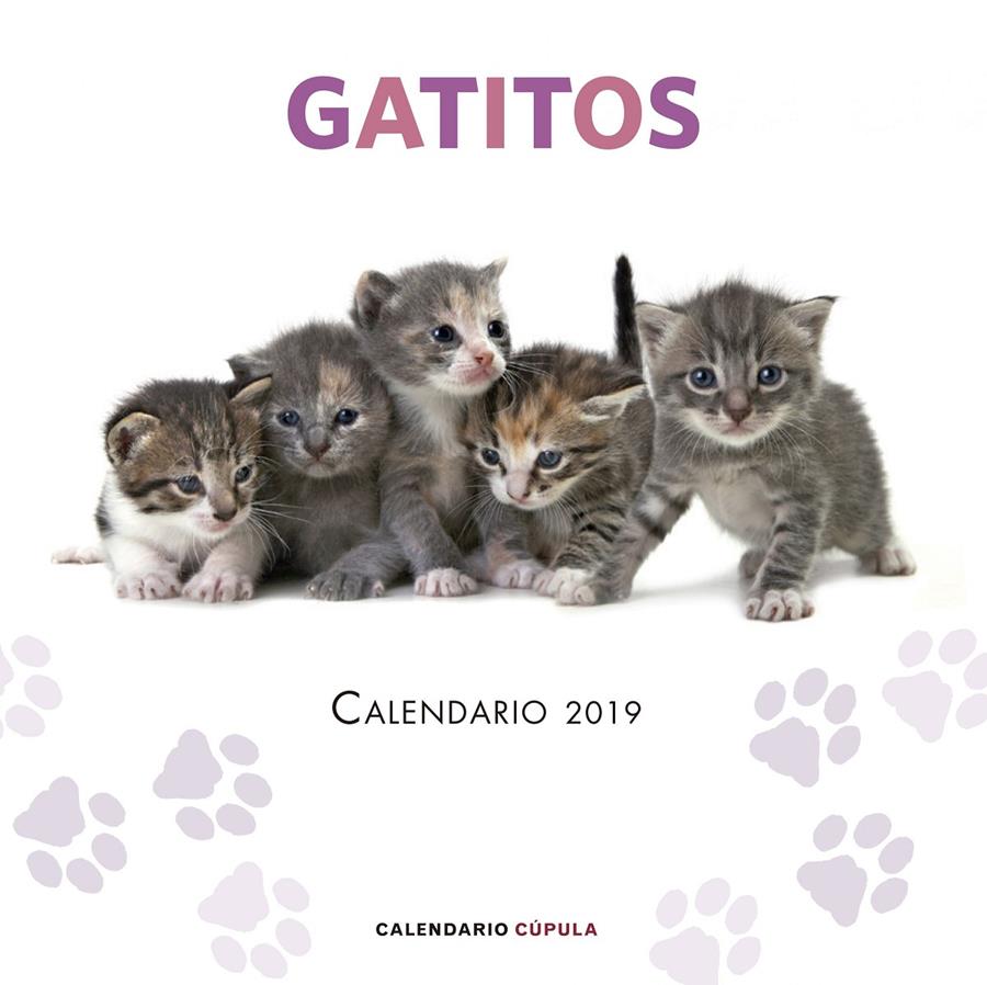 CALENDARIO GATITOS 2019 | 9788448024659 | AA. VV. | Llibreria La Font de Mimir - Llibreria online Barcelona - Comprar llibres català i castellà