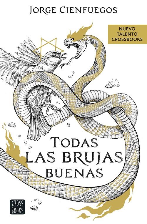 TODAS LAS BRUJAS BUENAS | 9788408260066 | CIENFUEGOS, JORGE | Llibreria La Font de Mimir - Llibreria online Barcelona - Comprar llibres català i castellà