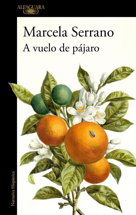 A VUELO DE PÁJARO | 9788420477978 | SERRANO, MARCELA | Llibreria La Font de Mimir - Llibreria online Barcelona - Comprar llibres català i castellà