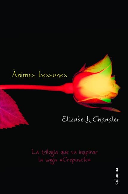 ÀNIMES BESSONES | 9788466415101 | ELISABETH CHANDLER | Llibreria La Font de Mimir - Llibreria online Barcelona - Comprar llibres català i castellà