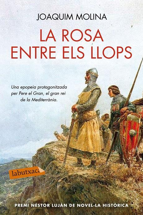 LA ROSA ENTRE ELS LLOPS | 9788416334629 | JOAQUIM MOLINA | Llibreria La Font de Mimir - Llibreria online Barcelona - Comprar llibres català i castellà