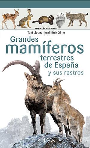 GRANDES MAMÍFEROS TERRESTRES DE ESPAÑA Y SUS RASTROS | 9788418735073 | LLOBET FRANÇOIS, TONI/RUIZ-OLMO , JORDI | Llibreria La Font de Mimir - Llibreria online Barcelona - Comprar llibres català i castellà