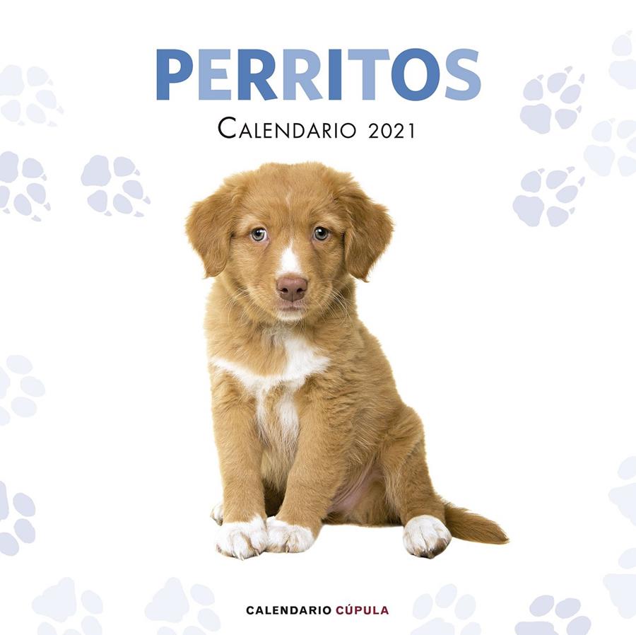 CALENDARIO PERRITOS 2021 | 9788448027766 | AA. VV. | Llibreria La Font de Mimir - Llibreria online Barcelona - Comprar llibres català i castellà