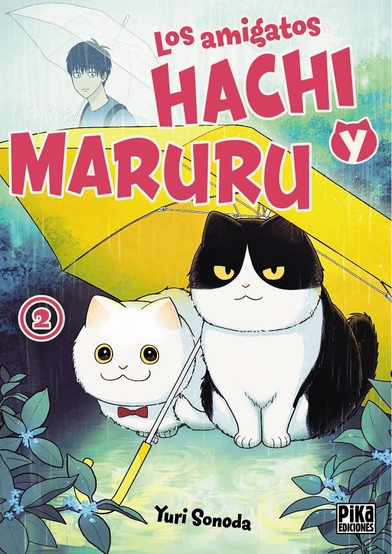 LOS AMIGATOS HACHI Y MARURU 2 | 9782811699222 | SONODA, YURI | Llibreria La Font de Mimir - Llibreria online Barcelona - Comprar llibres català i castellà