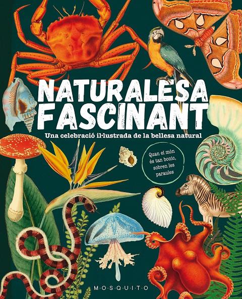 NATURALESA FASCINANT | 9788419095596 | MOSQUITO BOOKS | Llibreria La Font de Mimir - Llibreria online Barcelona - Comprar llibres català i castellà