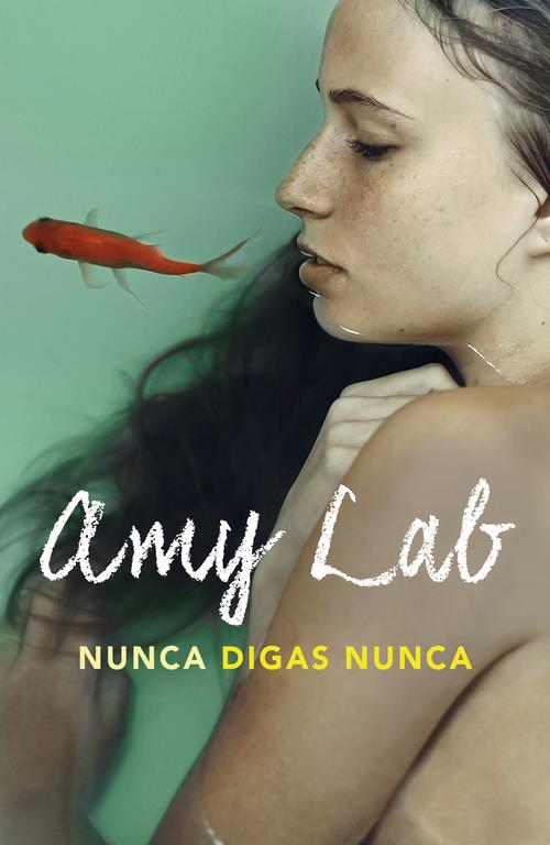 NUNCA DIGAS NUNCA | 9788420484075 | LAB, AMY | Llibreria La Font de Mimir - Llibreria online Barcelona - Comprar llibres català i castellà