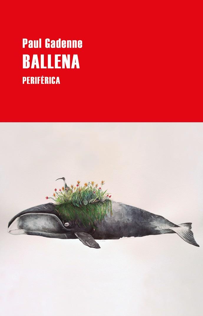 BALLENA | 9788418264542 | GADENNE, PAUL | Llibreria La Font de Mimir - Llibreria online Barcelona - Comprar llibres català i castellà