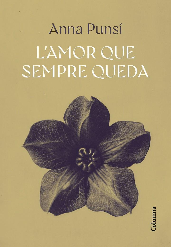 L'AMOR QUE SEMPRE QUEDA | 9788466432382 | PUNSÍ LLADÓ, ANNA | Llibreria La Font de Mimir - Llibreria online Barcelona - Comprar llibres català i castellà