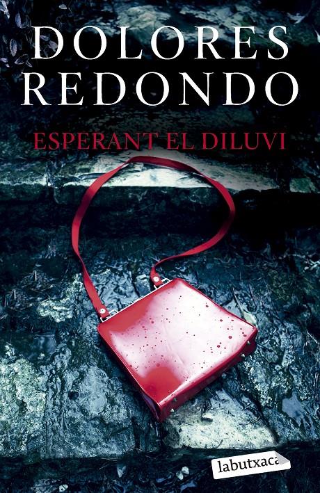 ESPERANT EL DILUVI | 9788419107961 | REDONDO, DOLORES | Llibreria La Font de Mimir - Llibreria online Barcelona - Comprar llibres català i castellà