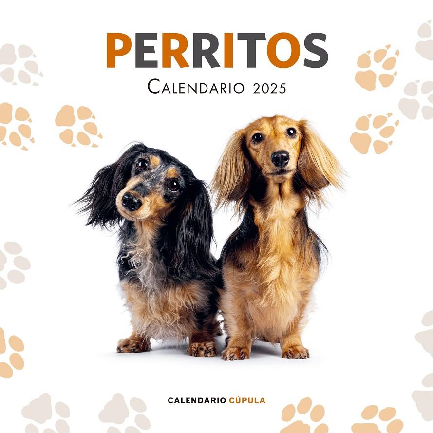 CALENDARIO PERRITOS 2025 | 9788448041649 | AA. VV. | Llibreria La Font de Mimir - Llibreria online Barcelona - Comprar llibres català i castellà