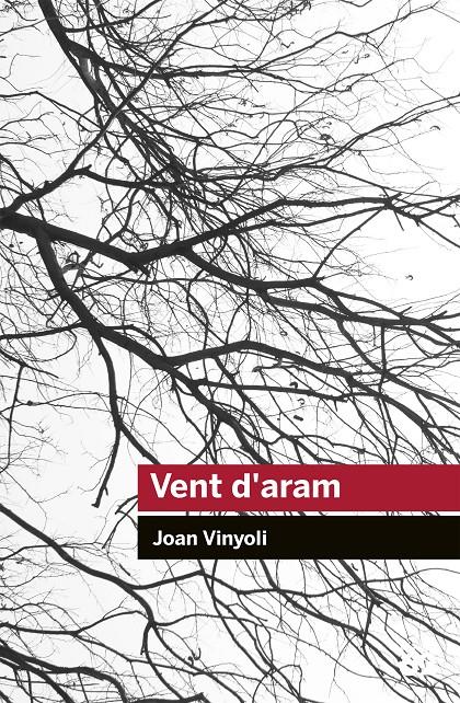 VENT D'ARAM | 9788415954248 | VINYOLI PLADEVALL, JOAN | Llibreria La Font de Mimir - Llibreria online Barcelona - Comprar llibres català i castellà