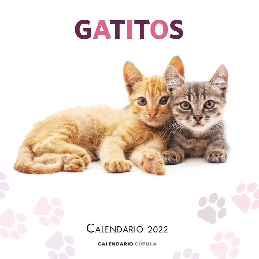 CALENDARIO GATITOS 2022 | 9788448028695 | AA. VV. | Llibreria La Font de Mimir - Llibreria online Barcelona - Comprar llibres català i castellà