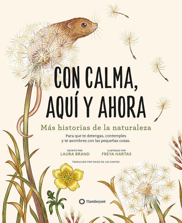 CON CALMA, AQUÍ Y AHORA | 9788419401113 | BRAND, LAURA | Llibreria La Font de Mimir - Llibreria online Barcelona - Comprar llibres català i castellà