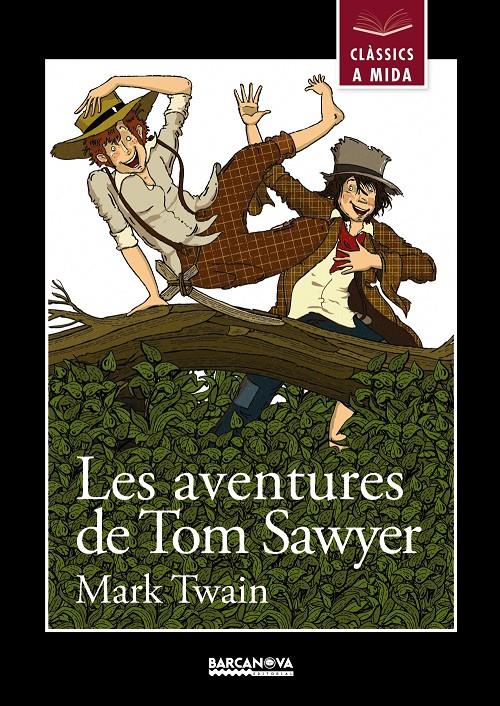 LES AVENTURES DE TOM SAWYER | 9788448930431 | TWAIN, MARK | Llibreria La Font de Mimir - Llibreria online Barcelona - Comprar llibres català i castellà