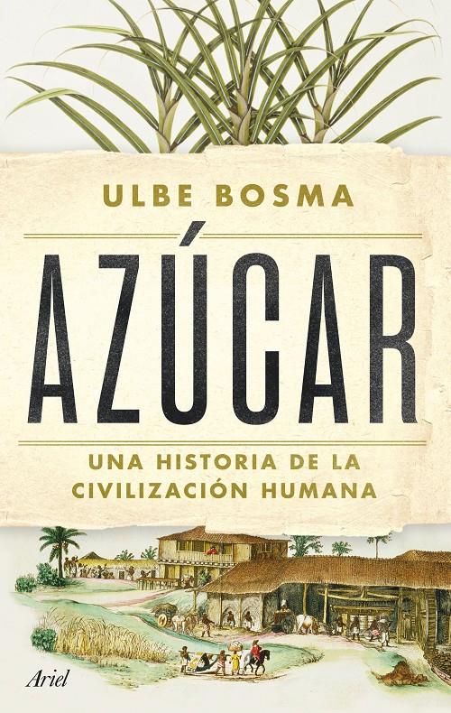 AZÚCAR | 9788434438286 | BOSMA, ULBE | Llibreria La Font de Mimir - Llibreria online Barcelona - Comprar llibres català i castellà