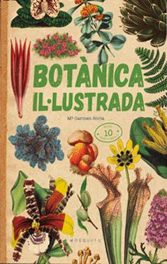 BOTÀNICA IL·LUSTRADA | 9788419095091 | SORIA, CARMEN | Llibreria La Font de Mimir - Llibreria online Barcelona - Comprar llibres català i castellà