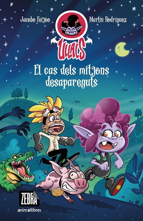 EL CAS DELS MITJONS DESAPAREGUTS | 9788419659101 | FEIJÓO, JACOBO | Llibreria La Font de Mimir - Llibreria online Barcelona - Comprar llibres català i castellà