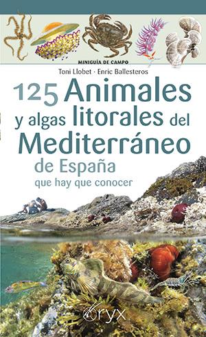 125 ANIMALES Y ALGAS LITORALES DEL MEDITERRÁNEO DE ESPAÑA QUE HAY QUE CONOCER | 9788418735400 | LLOBET, TONI/BALLESTEROS, ENRIC | Llibreria La Font de Mimir - Llibreria online Barcelona - Comprar llibres català i castellà