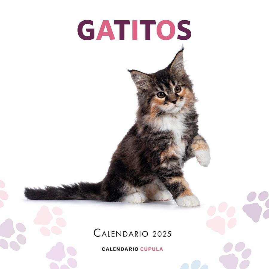 CALENDARIO GATITOS 2025 | 9788448041656 | AA. VV. | Llibreria La Font de Mimir - Llibreria online Barcelona - Comprar llibres català i castellà