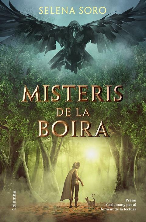 MISTERIS DE LA BOIRA | 9788466426619 | SORO, SELENA | Llibreria La Font de Mimir - Llibreria online Barcelona - Comprar llibres català i castellà