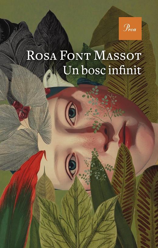 UN BOSC INFINIT | 9788419657732 | FONT MASSOT, ROSA | Llibreria La Font de Mimir - Llibreria online Barcelona - Comprar llibres català i castellà